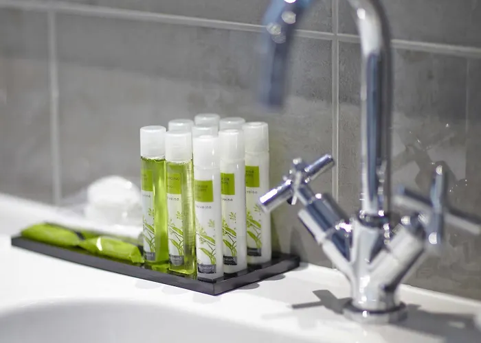 Royal Champs Elysees 酒店 4*